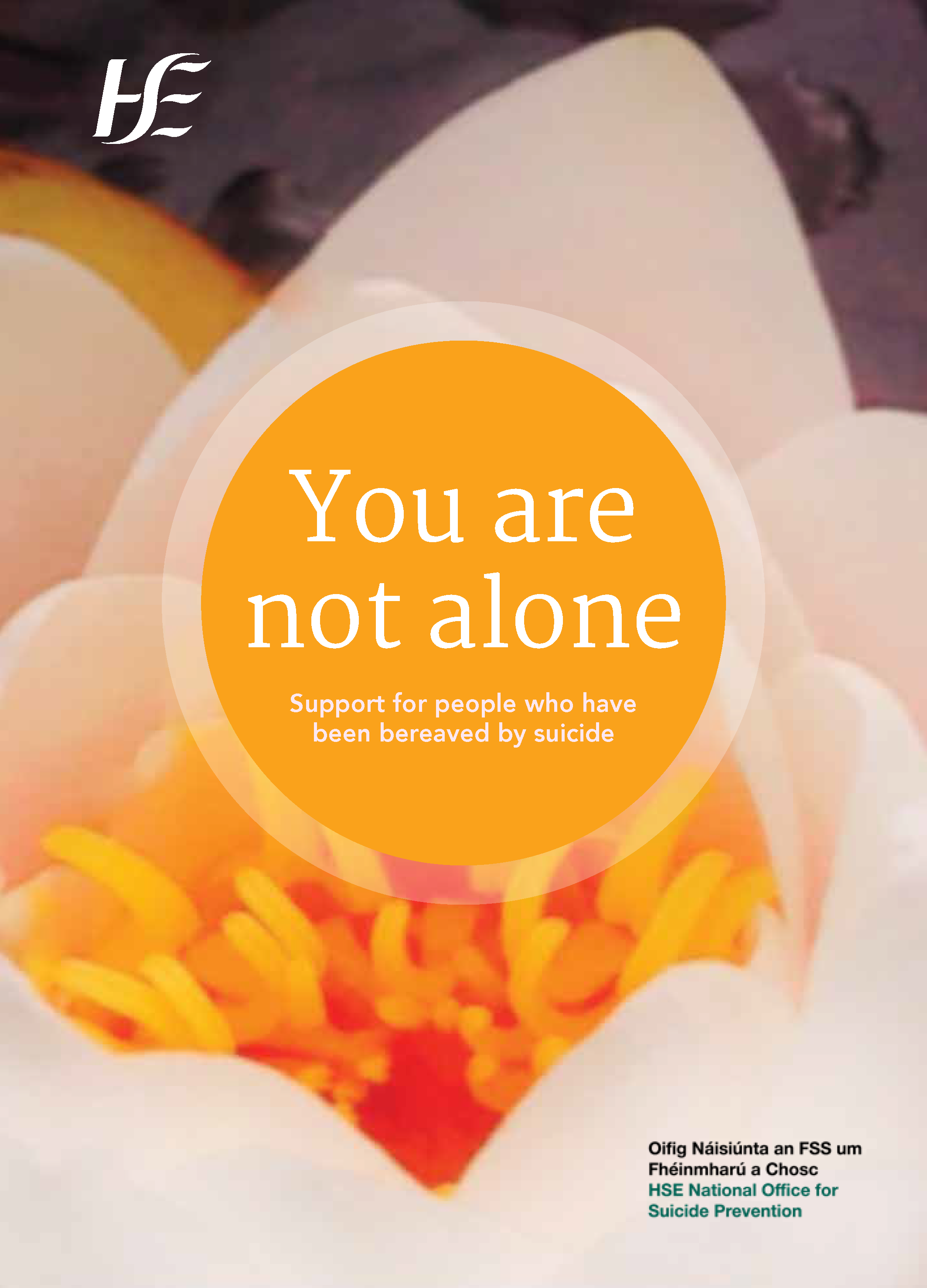 You Are Not Alone - suicide bereavement support guide