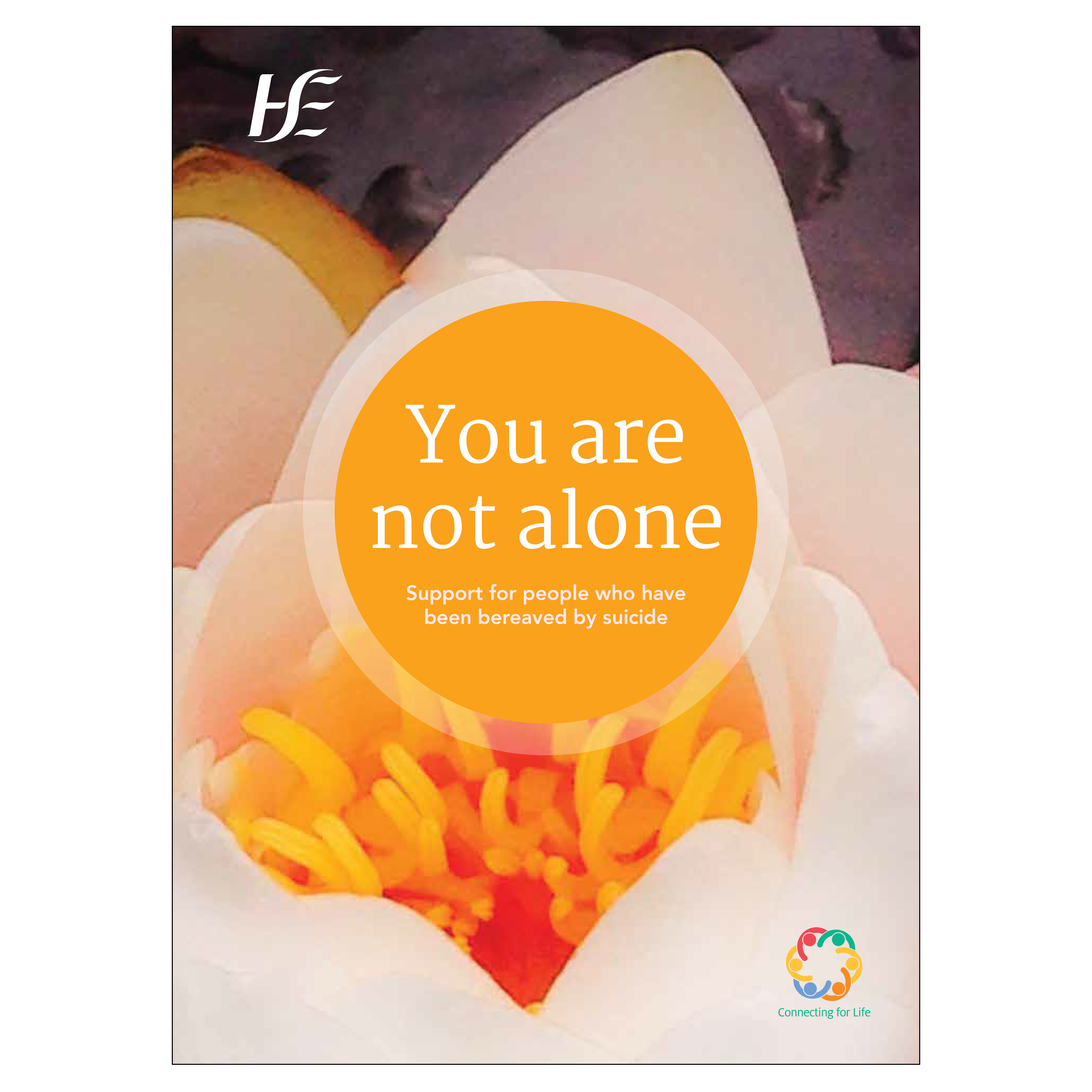 You Are Not Alone - suicide bereavement support guide